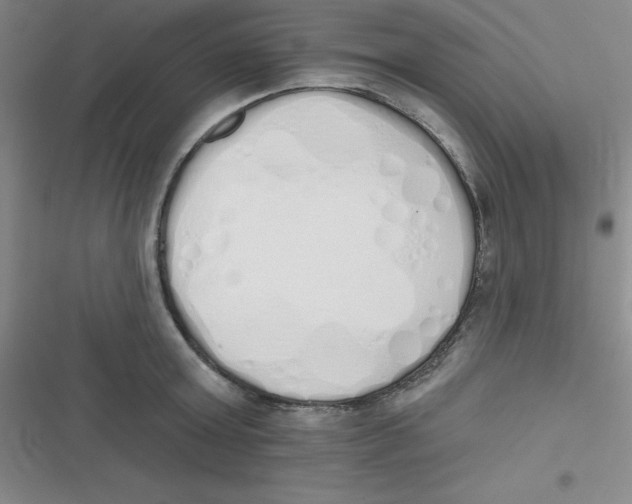 X0000116830803201001081436