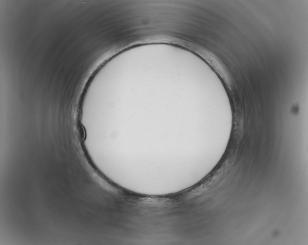 X0000116830805201001081436