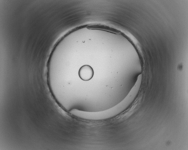 X0000116830807201001081436