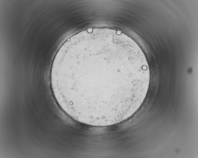 X0000116830810201001081436