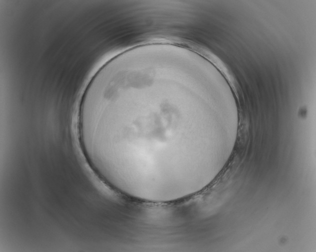 X0000116830811201001081436