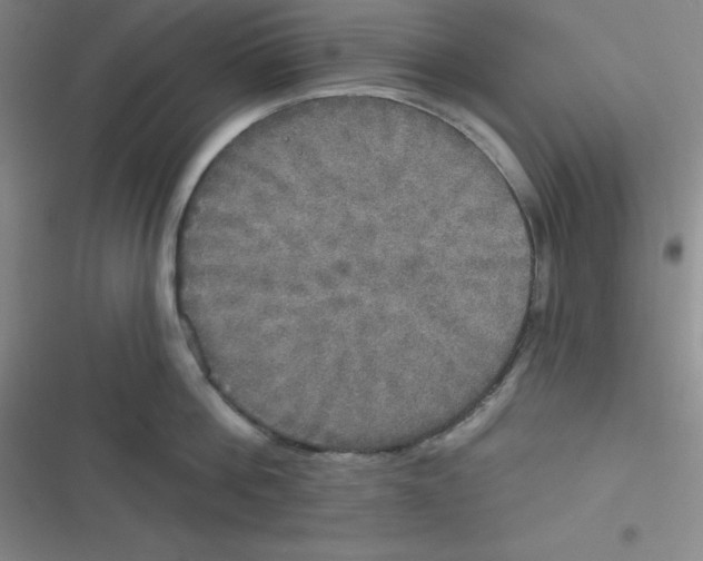 X0000116830812201001081436