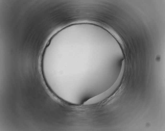 X0000116830813201001081436