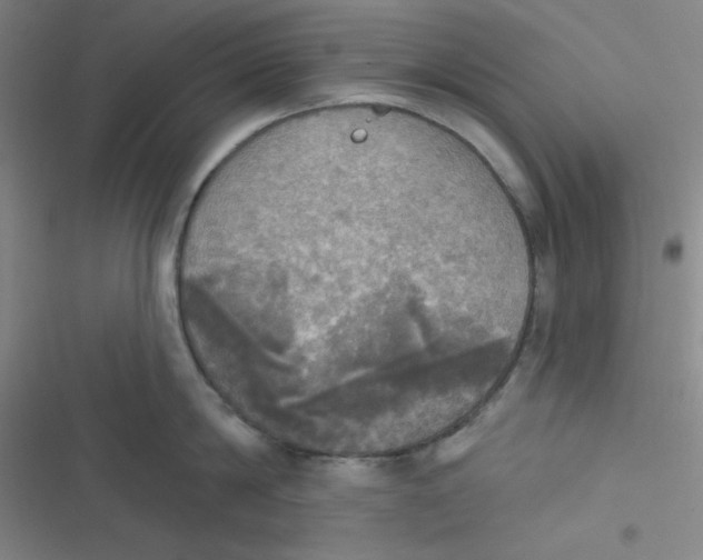 X0000116830814201001081436