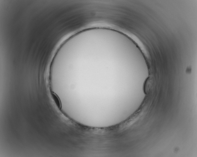 X0000116830815201001081436