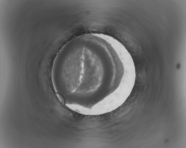 X0000116830817201001081436