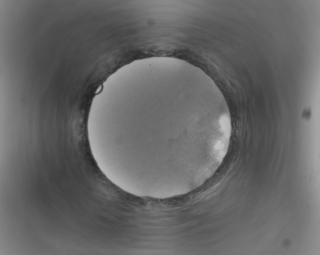 X0000116830818201001081436