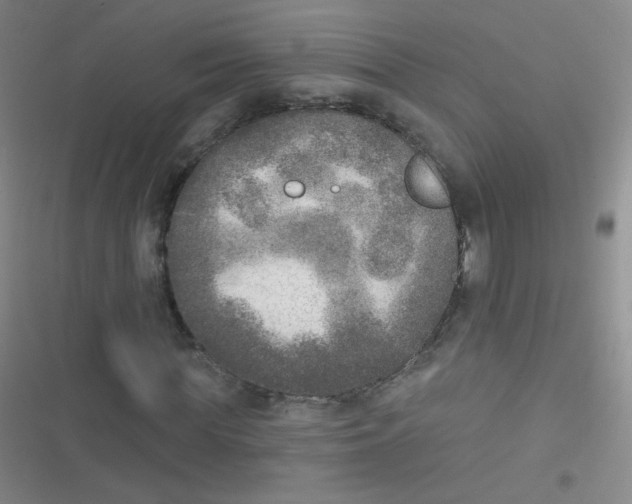 X0000116830819201001081436