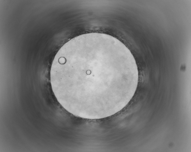 X0000116830820201001081436