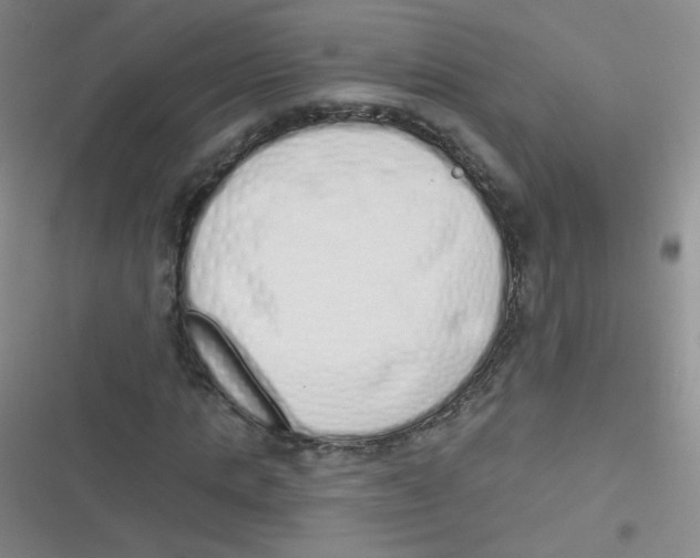 X0000116830821201001081436