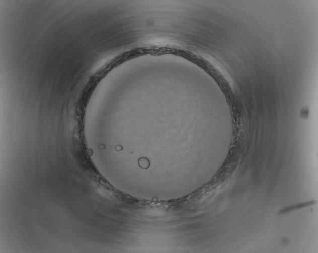 X0000116830823201001081436