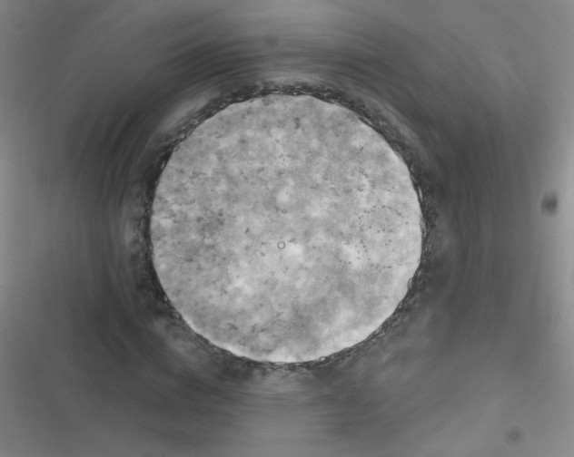 X0000116830824201001081436