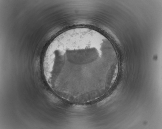 X0000116830825201001081436