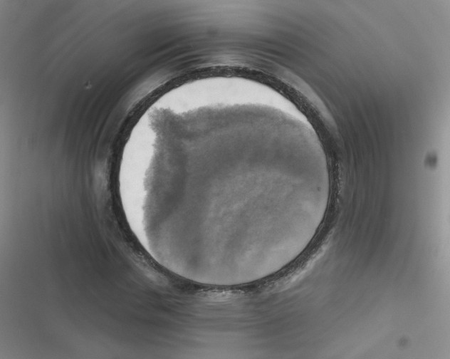 X0000116830826201001081436