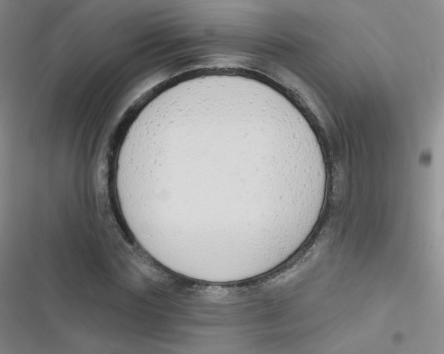 X0000116830827201001081436