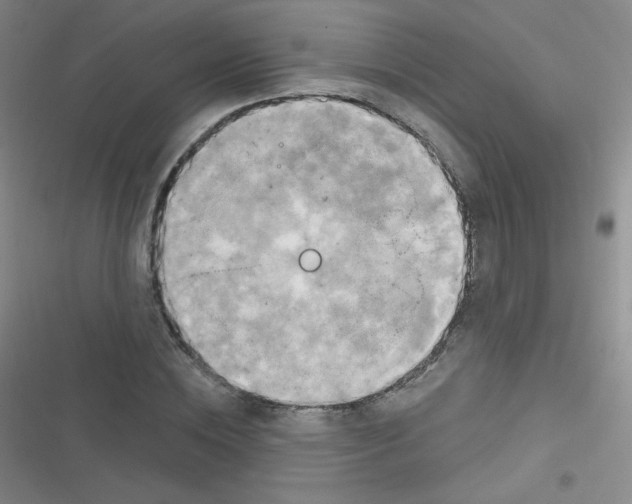 X0000116830828201001081436