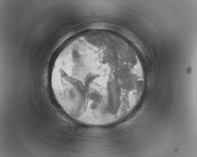 X0000116830829201001081436