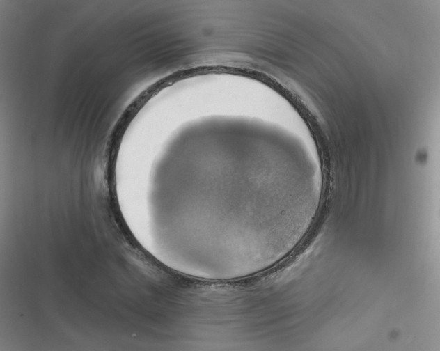 X0000116830830201001081436