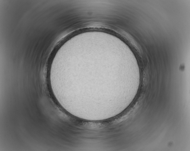 X0000116830831201001081436