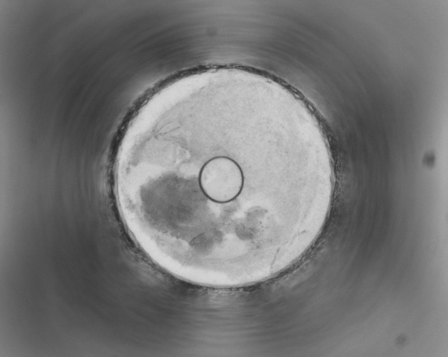 X0000116830832201001081436