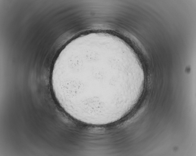 X0000116830833201001081436