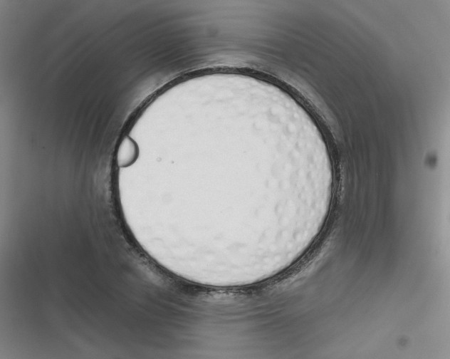 X0000116830834201001081436