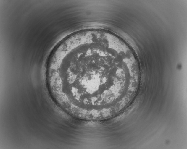 X0000116830835201001081436