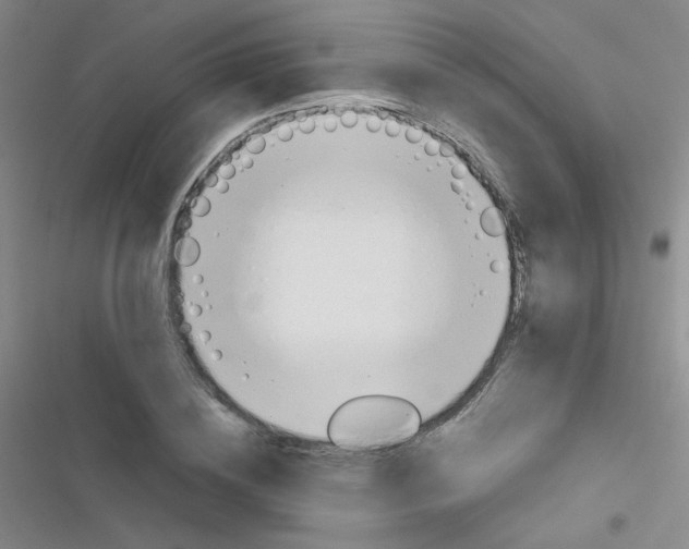 X0000116830836201001081436