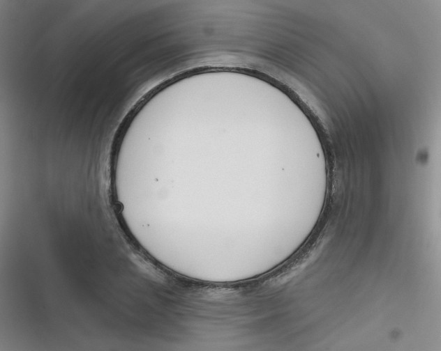 X0000116830837201001081436