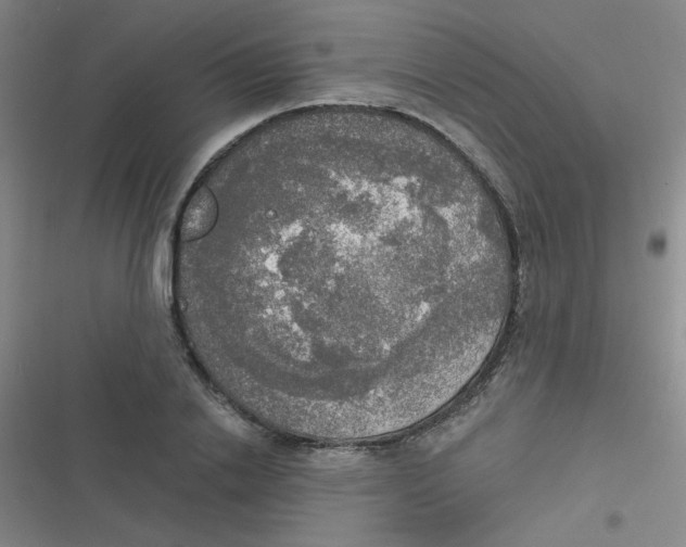 X0000116830838201001081436