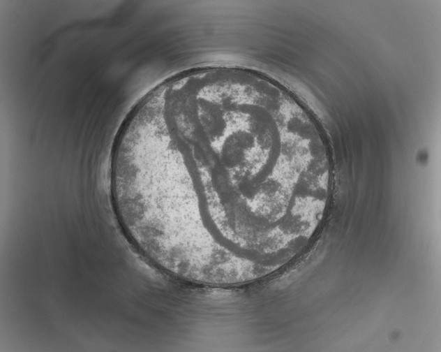 X0000116830839201001081436