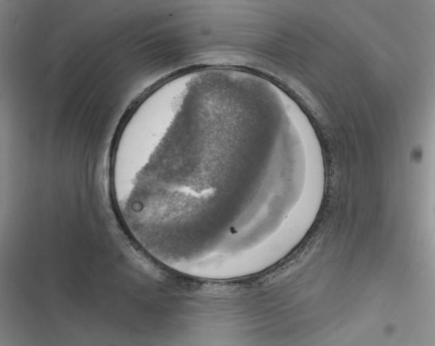 X0000116830840201001081436