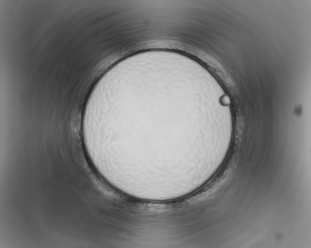 X0000116830841201001081436