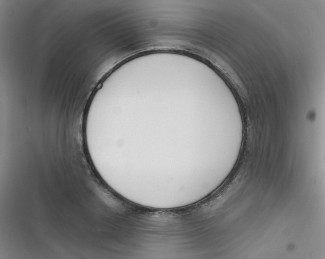 X0000116830842201001081436