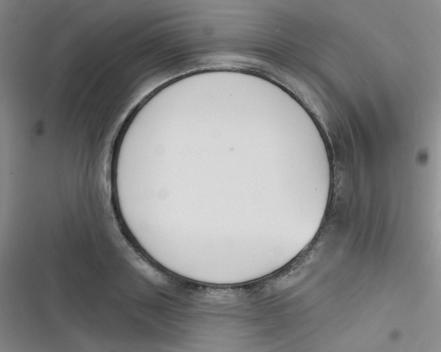 X0000116830843201001081436