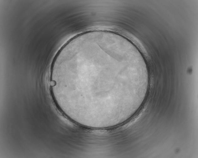 X0000116830844201001081436