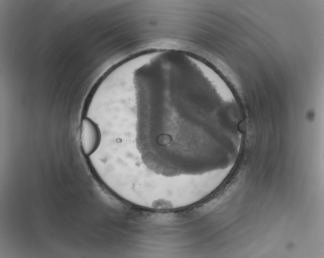 X0000116830845201001081436