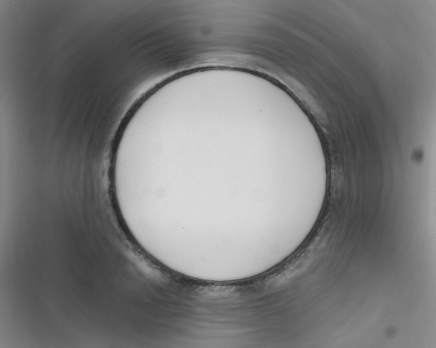 X0000116830846201001081436