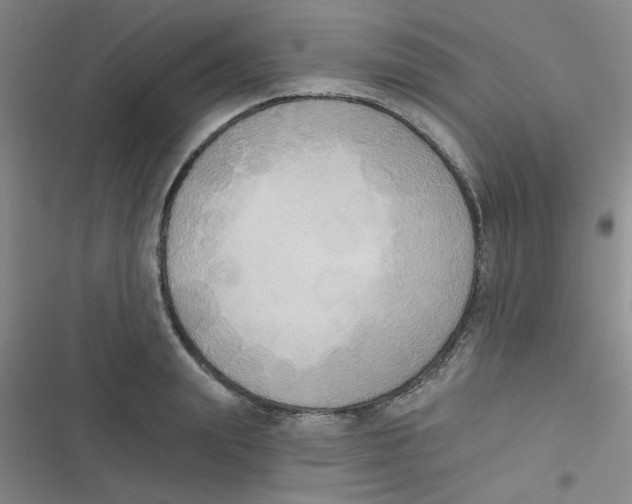 X0000116830847201001081436