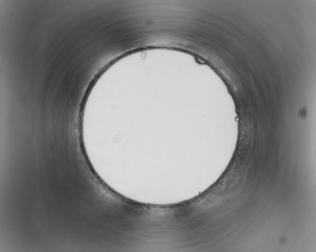 X0000116830848201001081436