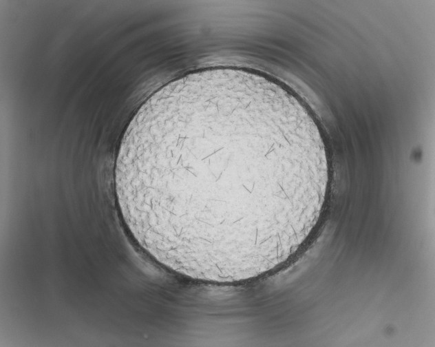 X0000116830849201001081436