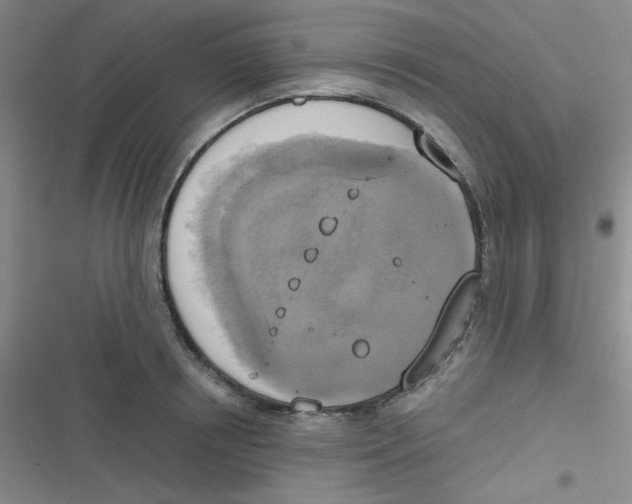 X0000116830850201001081436