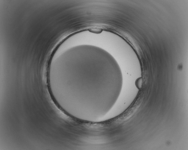 X0000116830851201001081436