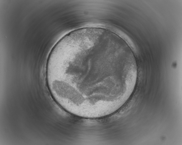 X0000116830852201001081436