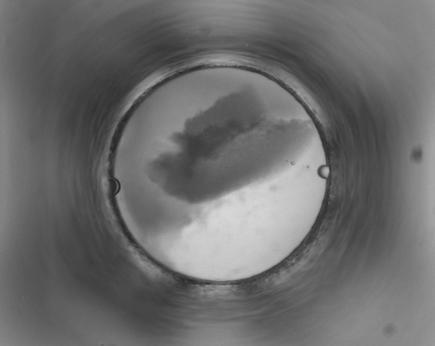 X0000116830853201001081436