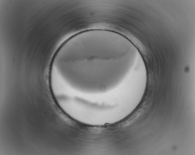 X0000116830854201001081436