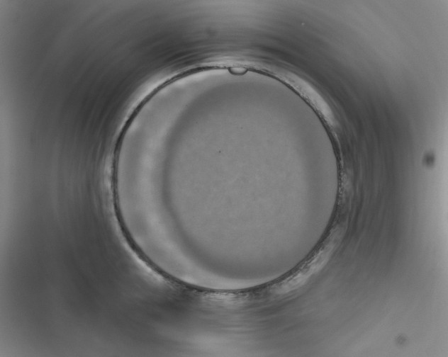 X0000116830855201001081436