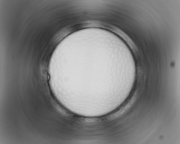 X0000116830857201001081436