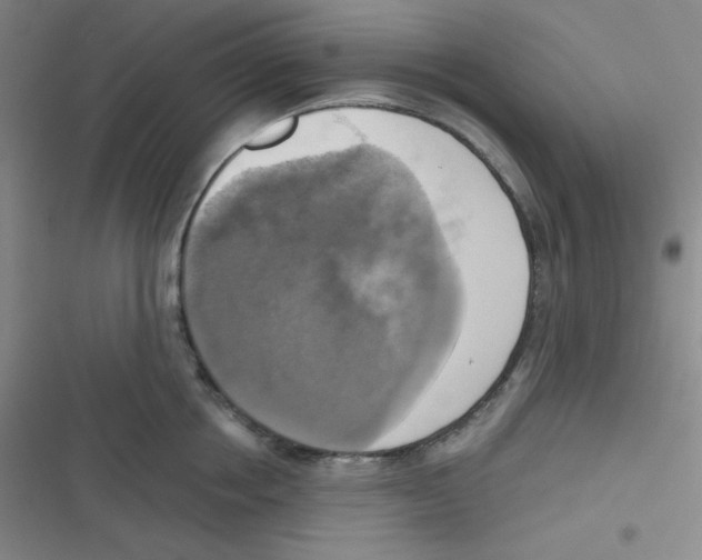 X0000116830858201001081436