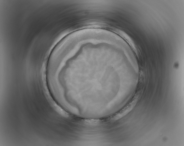 X0000116830859201001081436